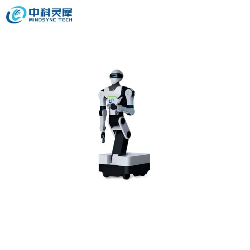 LSROBOT-001