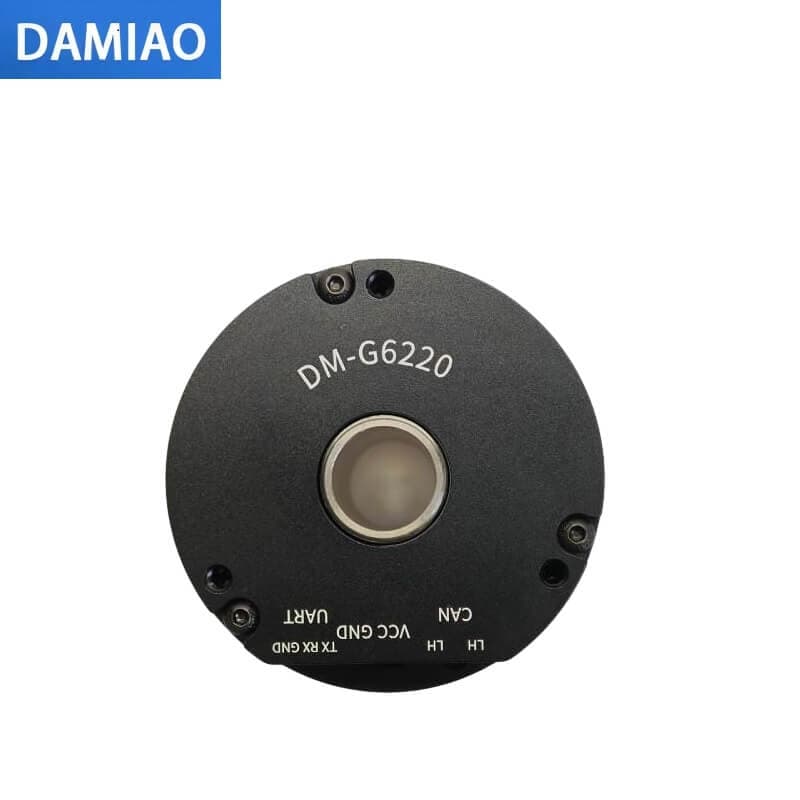DM-G6220 — DAMIAO DM-G6220 Motor