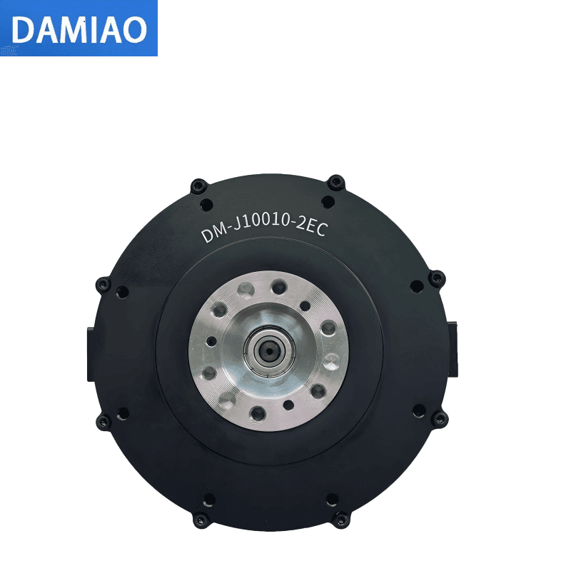DM-J10010-2EC — DAMIAO DM-J10010-2EC Motor