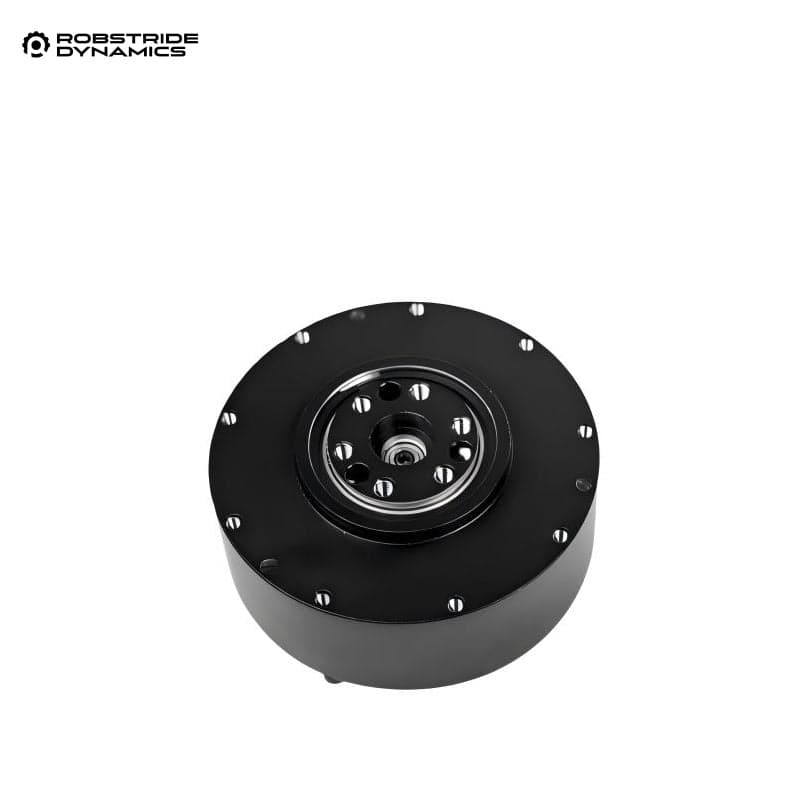 ROBSTRIDE01 — ROBSTRIDE 01 Motor